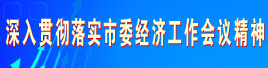 深入貫徹落實市委經濟工作會議精神